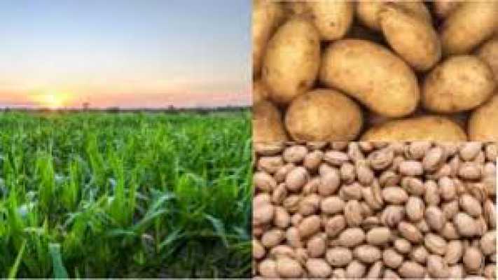 بنتازون چه کاربردی دارد؟