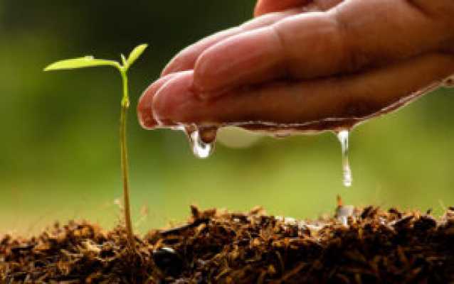 خرید قارچ کش پروموپروپیکونازول