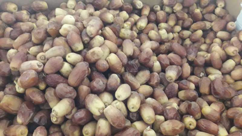 خرما خشک صادراتی کد:R-۰۰۷