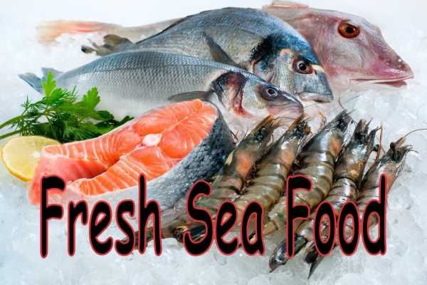شیوه های کسب و کار و خرید اینترنتی بازار فروش ماهی دریایی و آب شیرین