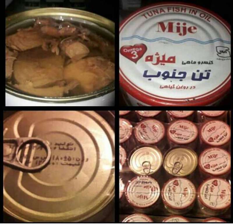 مرکز فروش عمده تن ماهی تهران کجاست ؟