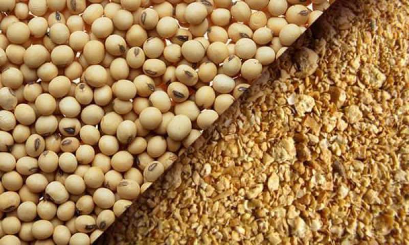 خرید آنلاین آرد سویا