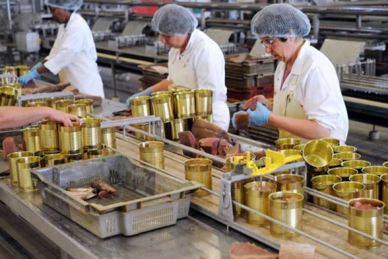 مزایای خرید عمده تن ماهی جنوب-نمایندگی فروش عمده تن ماهی ارگانا
