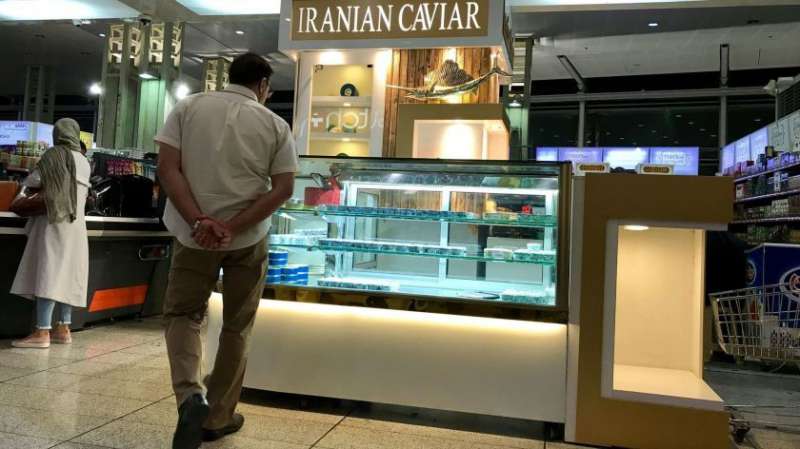 بازار خرید انواع ماهی پرورش و دریایی- قیمت ماهی خاویاری و انواع لاشه ماهی دریایی