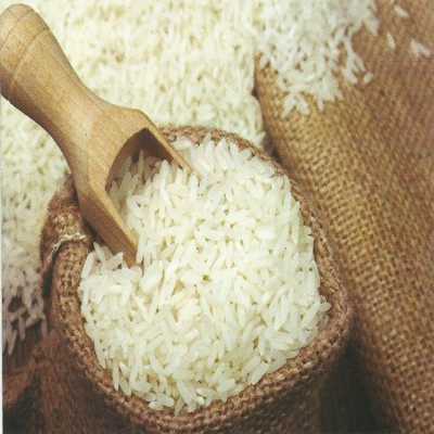 فروش عمده برنج هاشمی شمال با بهترین قیمت