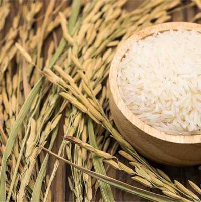 مرکز خرید برنج شمال با قیمت مناسب