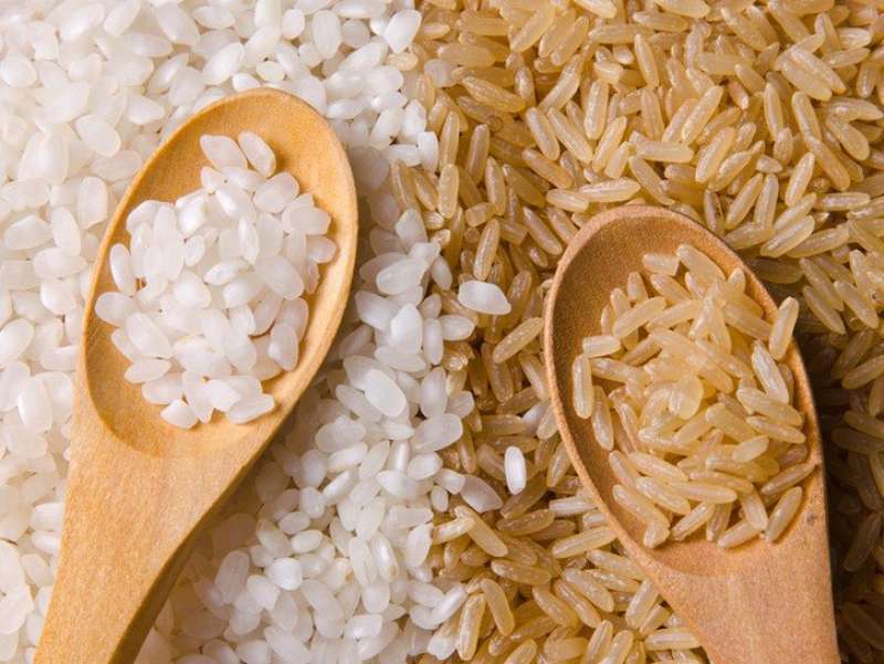 خرید برنج طارم هاشمی| قیمت  و  خرید عمده  از کارخونه 