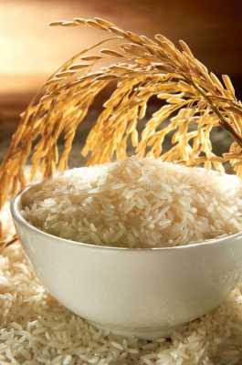خرید برنج ایرانی| بهترین برنج | قیمت برنج ایرانی، هندی و پاکستان(۲۶ اردیبهشت)