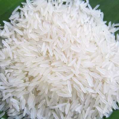 قیمت و خرید برنج ایرانی شیرودی| مرکز خرید برنج شمال