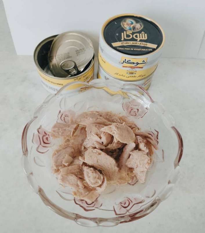 کنسرو تن ماهی هوور ۱۸۰ گرم شوکار
