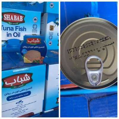 خرید تن ماهی شباب|قیمت و مشخصات فنی