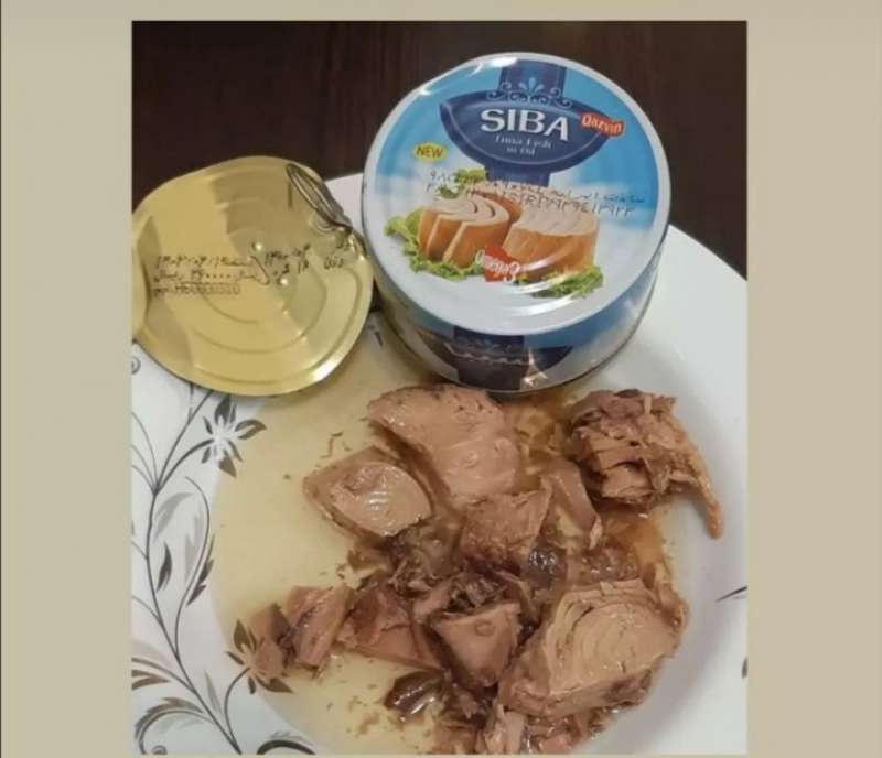 کنسرو تن ماهی ۱۸۰ گرم هوور سیبا