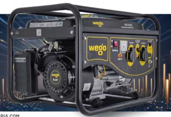 موتور برق ویگو ۱۰۰۰ وات هندلی WG۲۵۰۰ قیمت و مشخصات فنی